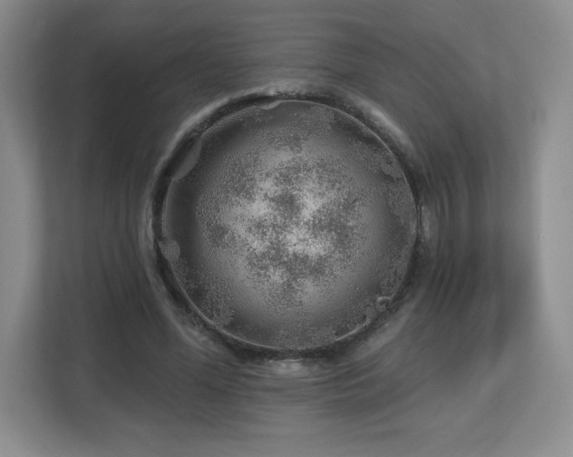X0000112800588200908211135