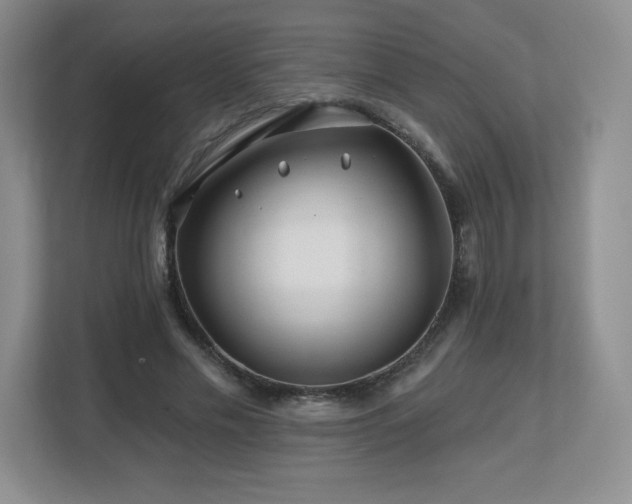 X0000112800589200908211135