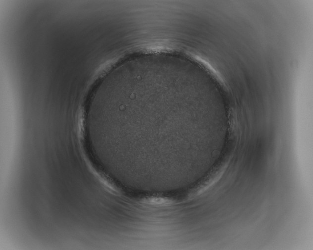 X0000112800590200908211135