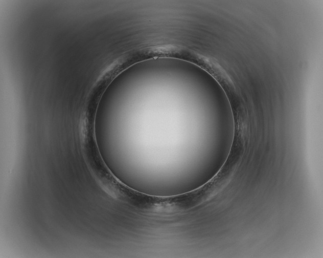 X0000112800591200908211135