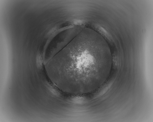 X0000112800593200908211135
