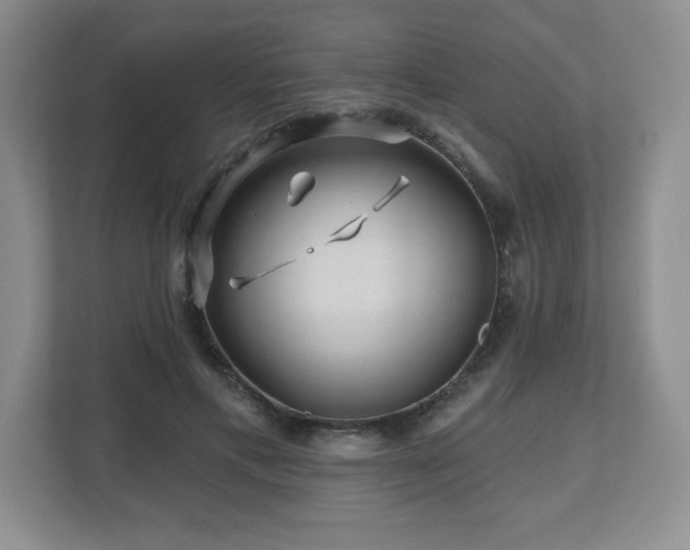 X0000112800597200908211135