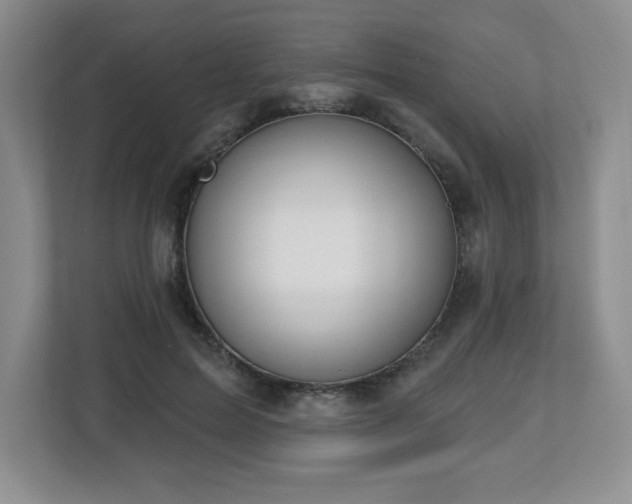 X0000112800599200908211135