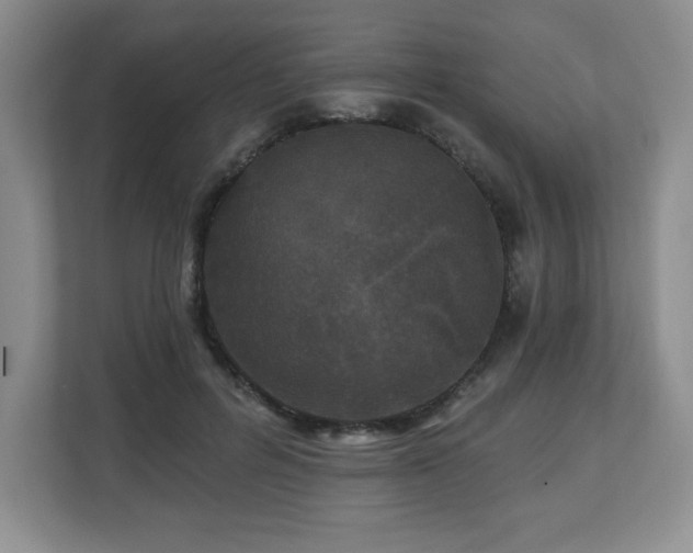 X0000112800600200908211135