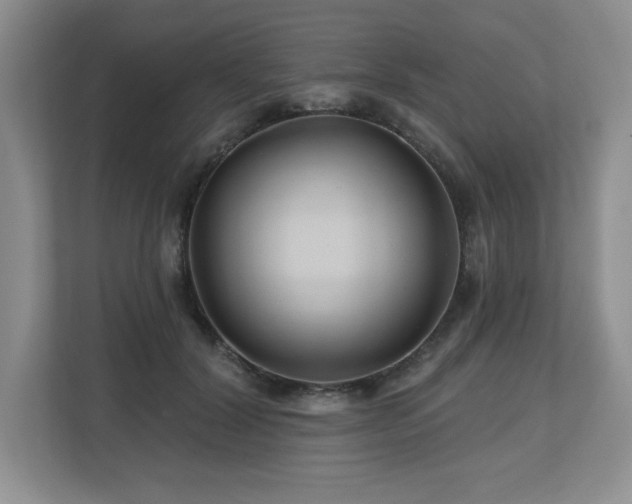 X0000112800604200908211135