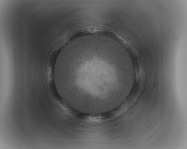 X0000112800606200908211135