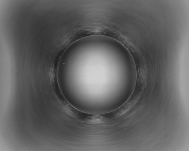 X0000112800612200908211135