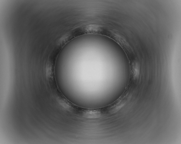 X0000112800619200908211135