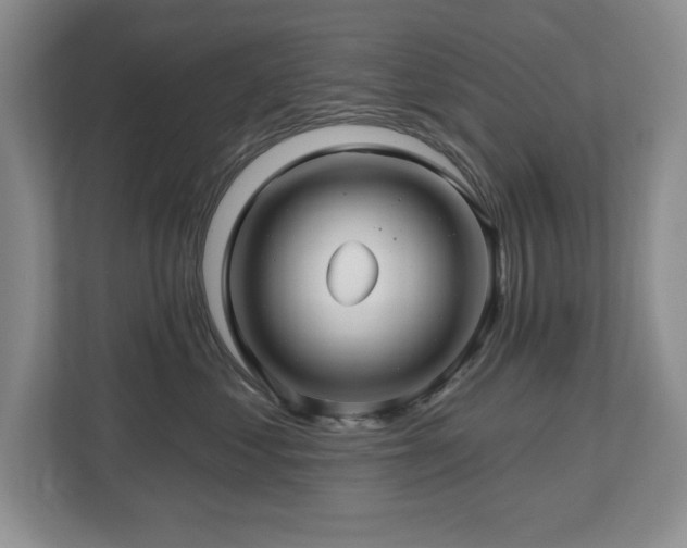 X0000112800621200908211135