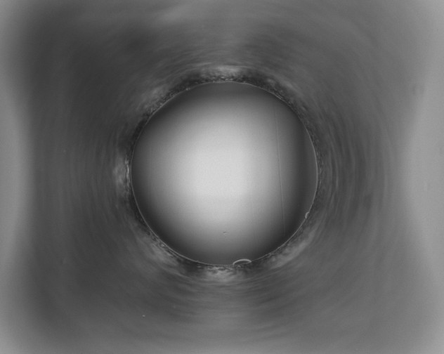 X0000112800624200908211135