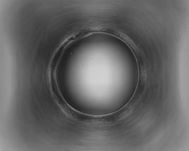 X0000112800626200908211134