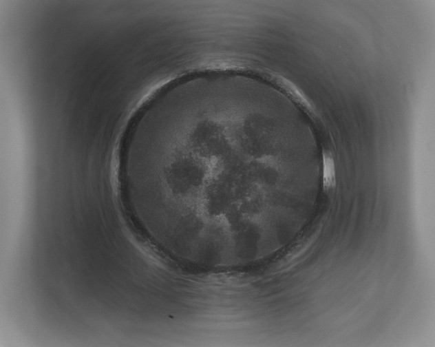 X0000112800627200908211134