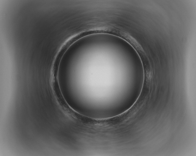 X0000112800628200908211134