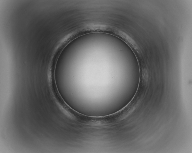 X0000112800629200908211134