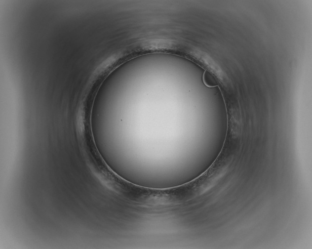 X0000112800631200908211134