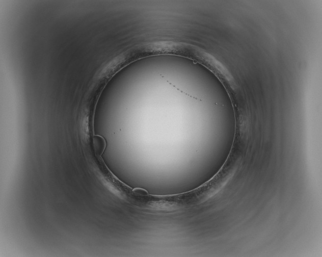 X0000112800633200908211134
