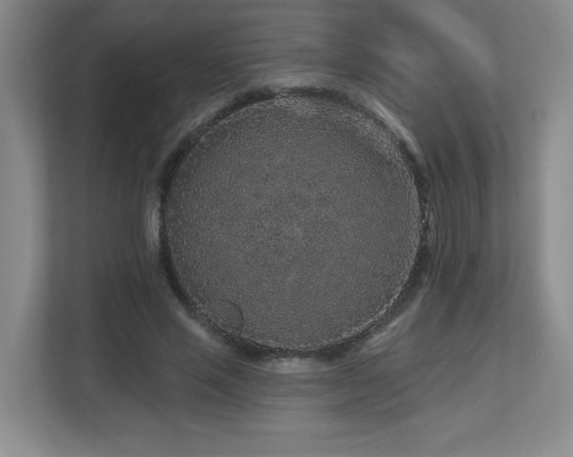X0000112800637200908211134