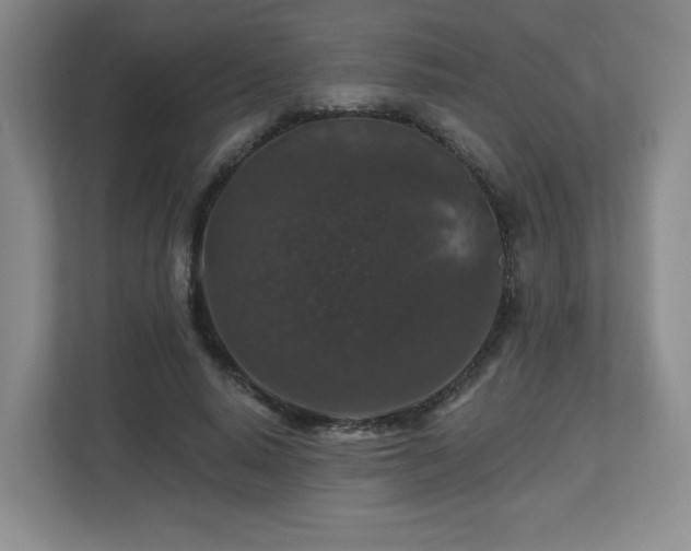 X0000112800640200908211134