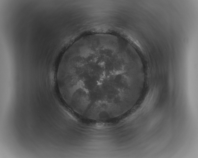 X0000112800641200908211134