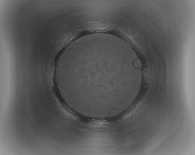 X0000112800642200908211134