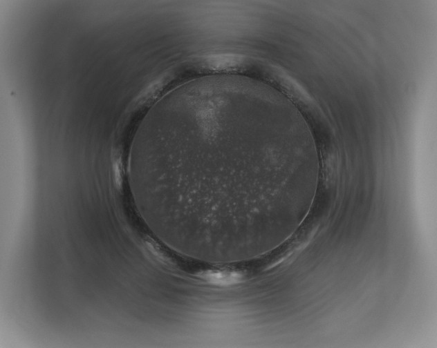 X0000112800644200908211134