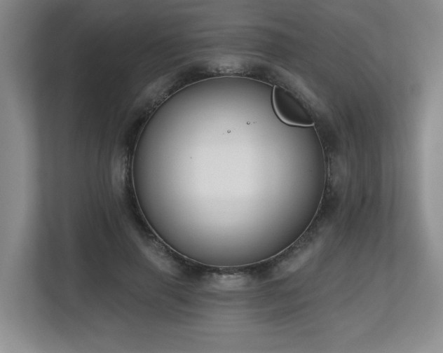 X0000112800645200908211134