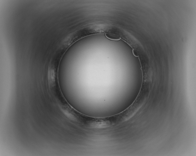 X0000112800646200908211134