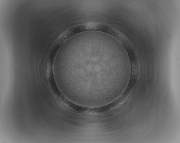 X0000112800648200908211134
