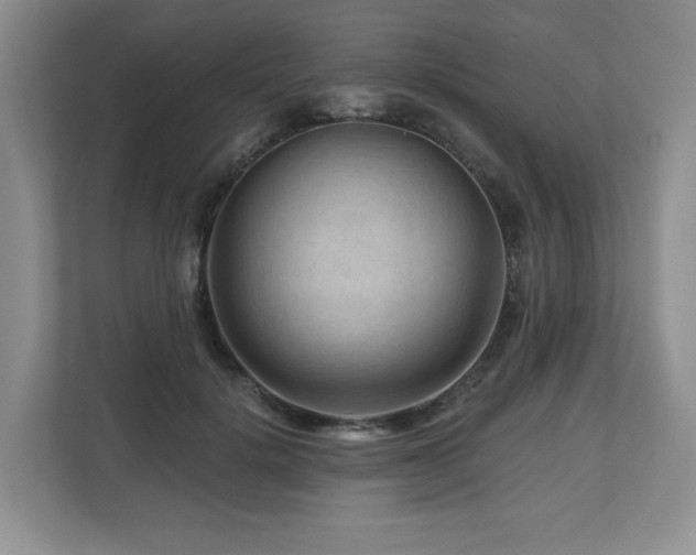 X0000112800652200908211134