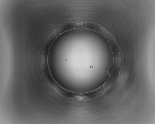 X0000112800654200908211134
