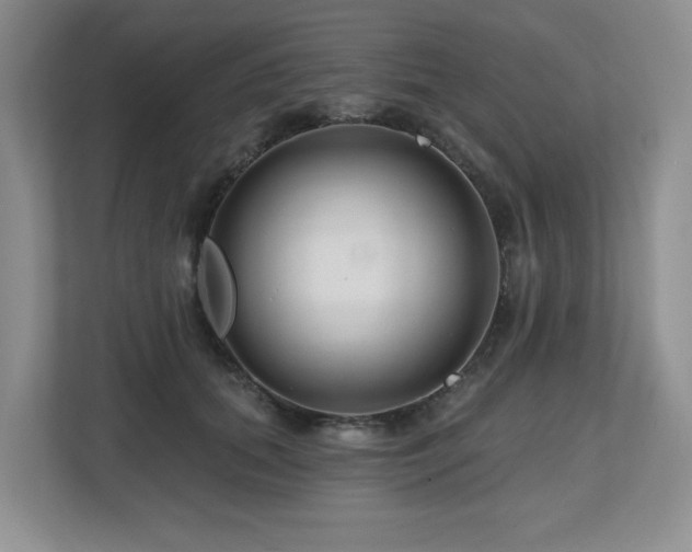 X0000112800655200908211134