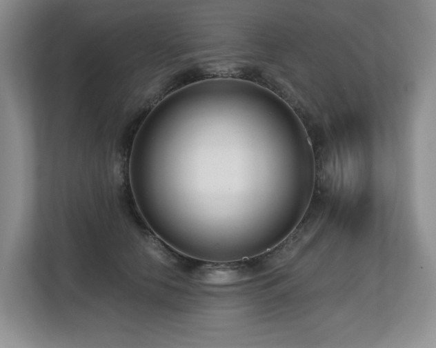 X0000112800658200908211134