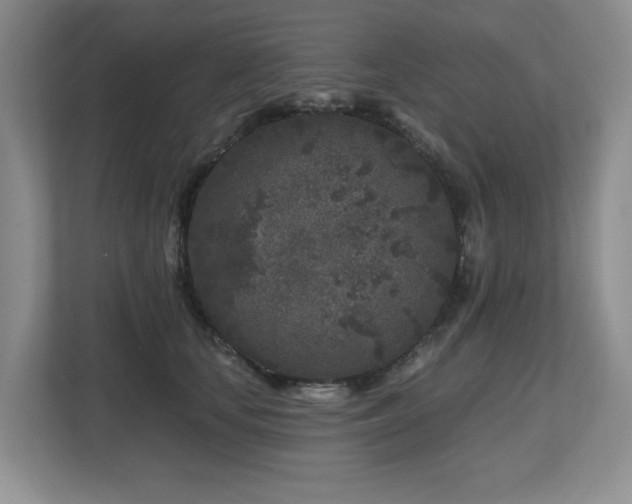 X0000112800659200908211134