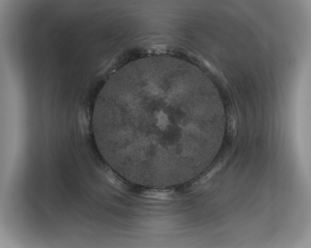 X0000112800661200908211134
