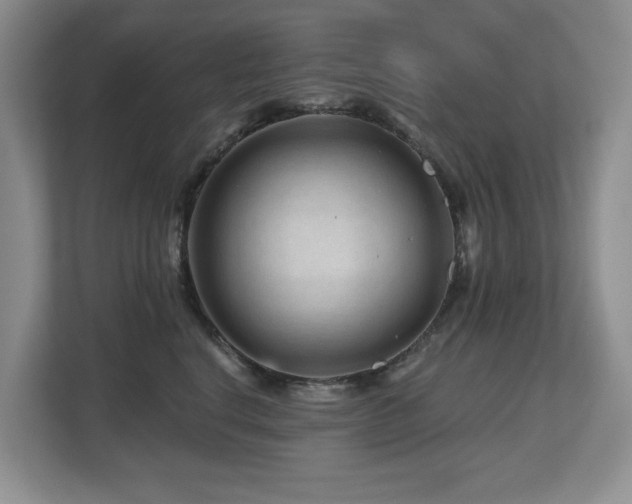 X0000112800664200908211134