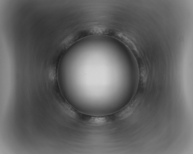 X0000112800665200908211134