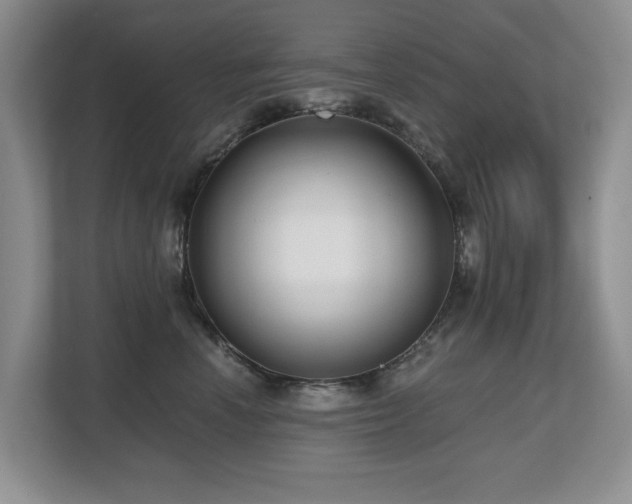 X0000112800666200908211134