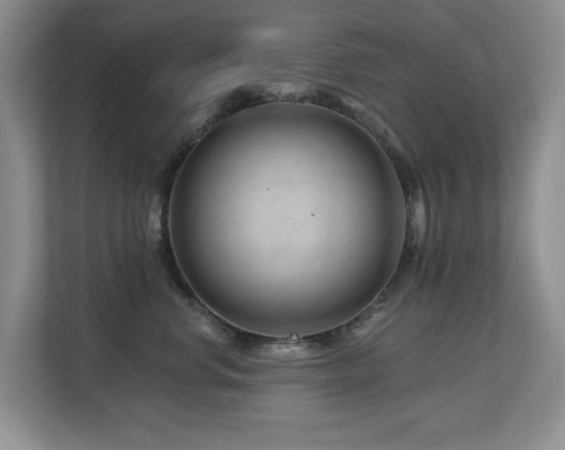 X0000112800668200908211134