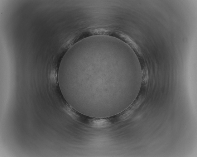 X0000112800669200908211134