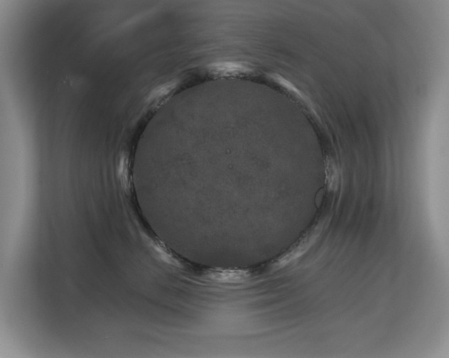 X0000112800670200908211134