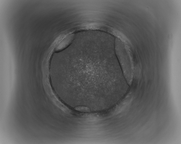 X0000112800673200908211134