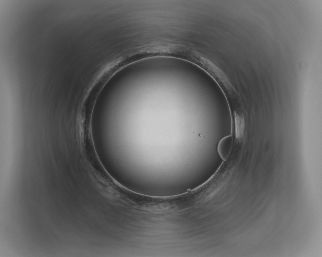 X0000112800675200908211134