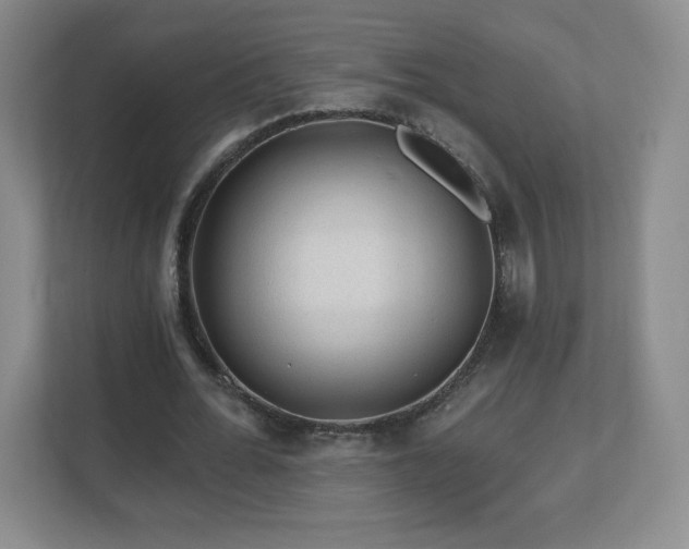 X0000112800676200908211134
