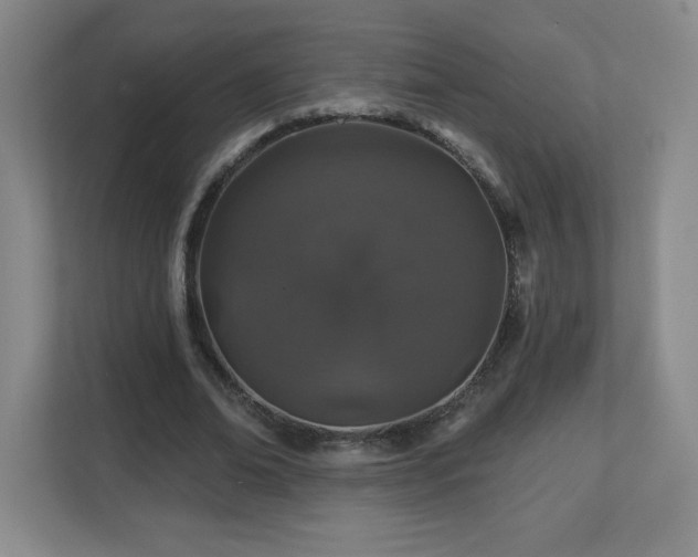 X0000112800678200908211134
