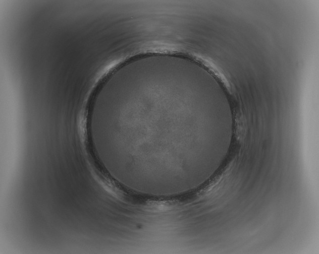 X0000112800679200908211134