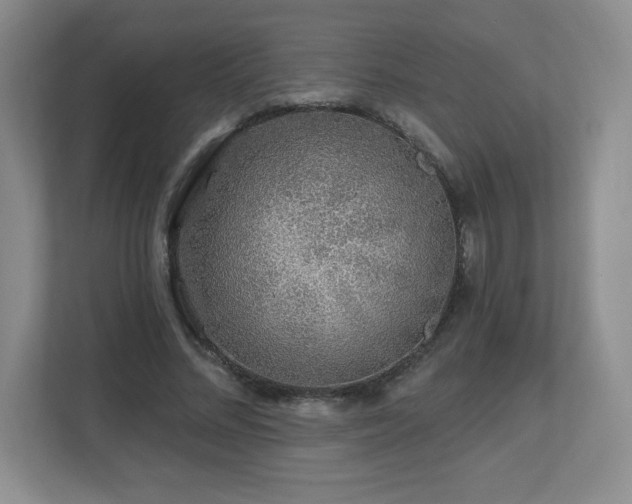 X0000112800684200908211134