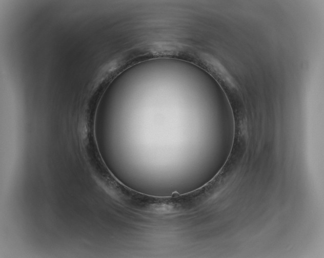 X0000112800687200908211134