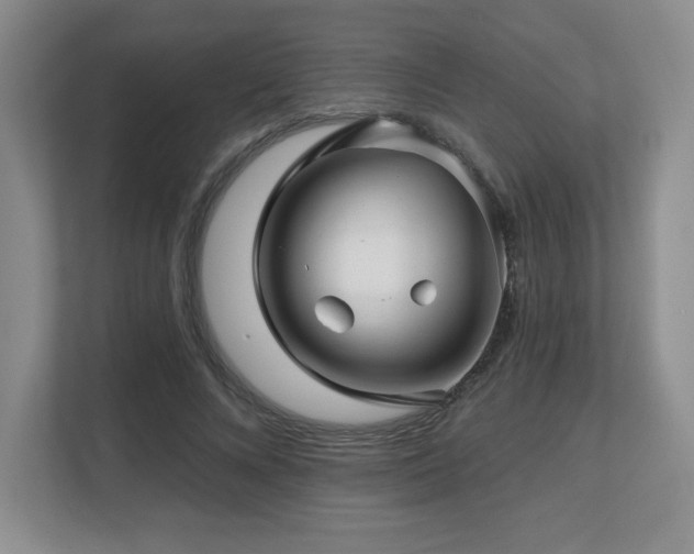 X0000112800688200908211134