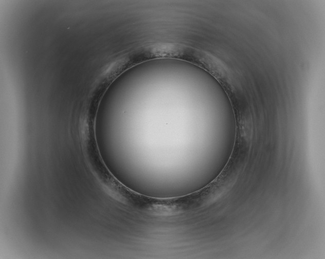 X0000112800690200908211134