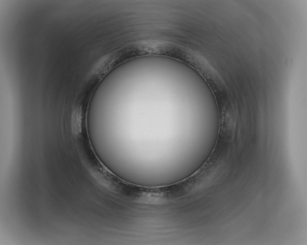 X0000112800694200908211134